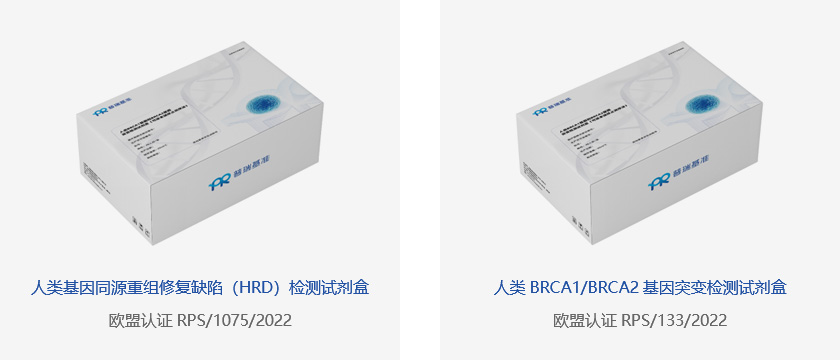 普瑞基准-为肿瘤精准治疗导航_03.jpg